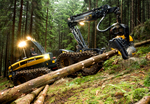 Forestry